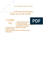 Sistemul Bancar Din Romania. Studiu de Caz ING BANK