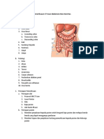 Point Materi Abdomen