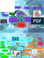 Actividad 3 - Mapa Conceptual