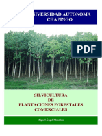 SILVICULTURA PLANTACIONES COMERCIALES
