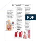 Enfermedades Del Sistema Respiratorio