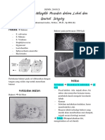 (2) Asepsis Dan Antiseptik Prosedur Dalam Lokal Dan General Surgery