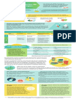 B12 Infographic Spanish