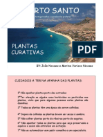 PORTO SANTO PLANTAS