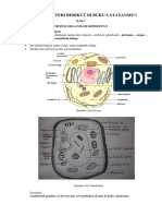 IPA BAB 7 (SEL) - Dikonversi