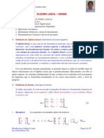 i Introdución Matrices y Determinantes