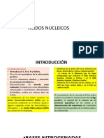 Bioquimica Acidos Nucleicos