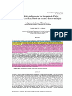 Etnobotánica Indígena de Los Bosques de Chile