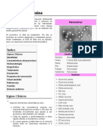 Parvovirosis en Canes