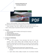 Kupdf Com LP Vulnus Laceratum PDF