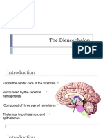 The Diencephalon Hu