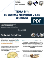 TEMA N°1 2do Año GFM PDF