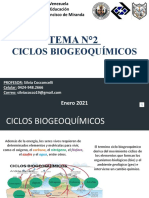 Ciclos Biogeoquimicos Ciencias Naturales 1er Año