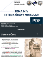 Sistema Osea y Muscular. Ciencias Naturales 2do Año GFM