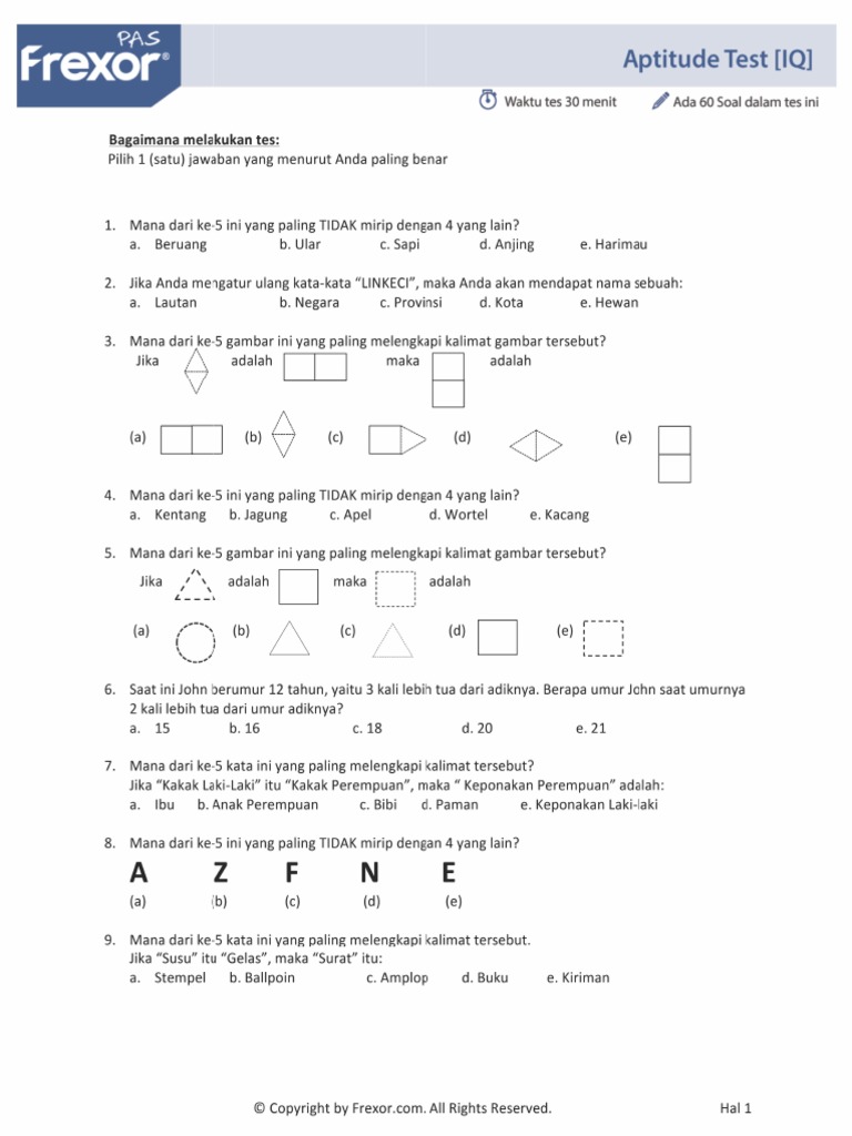 IQ Test | PDF