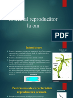 sistemul-reproducator-clasa-a-VI-a