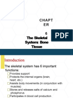 6.the Skeletal System Bone Tissue