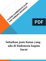 Potensi Sumberdaya Alam Dan Tambang Indonesia