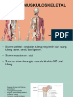 TM 9 Sistem Muskuloskeletal