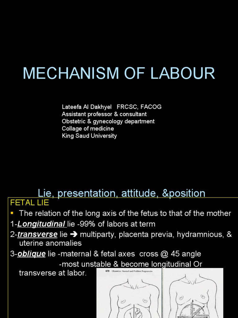 Mechanisms of Labor Explained | PDF | Pelvis | Childbirth