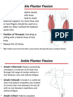 Ankle Planter Flexion: Test: Patient Raises Heel From Floor Consecutively Through Full Range of Plantar Flexion