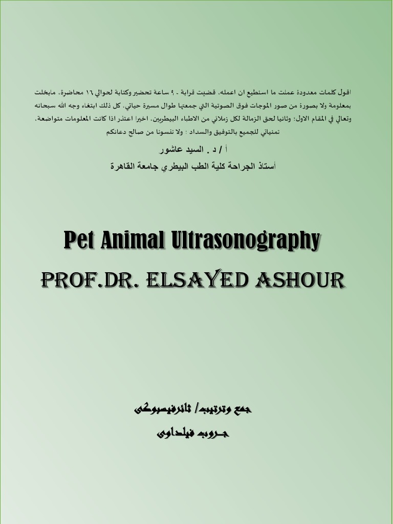 Pet Animal Ultrasonography DR Elsayed Ashour | PDF