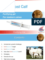 FortiBoost Calf - Eng