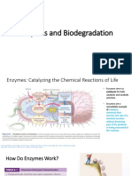 Enzymes and Biodegradation