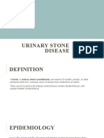 Urinary Stone Disease: Causes, Symptoms and Diagnosis