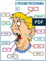 Face Parts Vocabulary