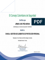 Certificado Gestion de Elementos EPP