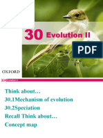 Evolution II