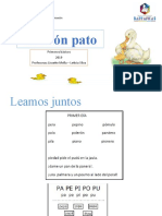 Leccion Pato