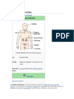 Sistema Endocrino