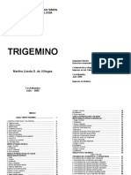 Trigemino Anatomía