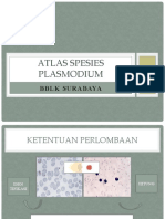 Atlas Spesies Plasmodium (Lomba Malaria Jatim)