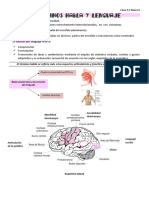 Clase 9.2 Trastornos Del Habla y Del Lenguaje