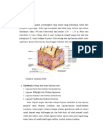 ANATOMI Dan Histologi