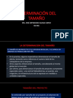 DETERMINACIÓN DEL TAMAÑO