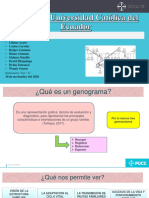 Segundo Parcial Comunitaria