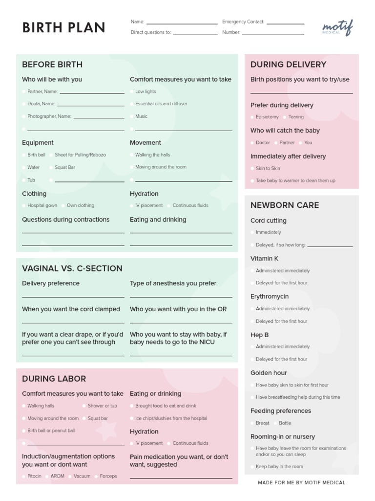 Printable PDF Birth Plan Template 1 | PDF | Childbirth | Human Development