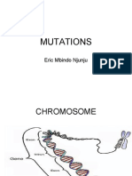 Mutations: Eric Mbindo Njunju