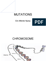 Mutations and Their Origins