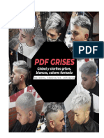 PDF Grises^