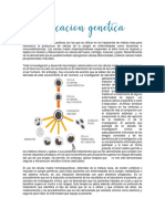 Modificación Genética