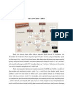 Metabolisme Lipida