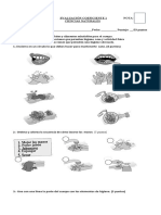 274457509 Evaluacion de Ciencias Naturales Habitos de Higiene y Vida Saludable