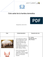 Ciclo Astral de La Hembra Domestica