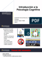1 Tema-Introducción A La Psicología Cognitiva