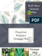 Budidaya Tanaman Obat